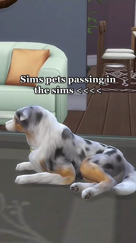 TikTok video thumbnail by simsbylovely