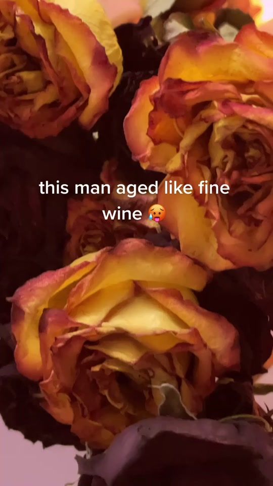 TikTok video thumbnail by wctermelonsugars
