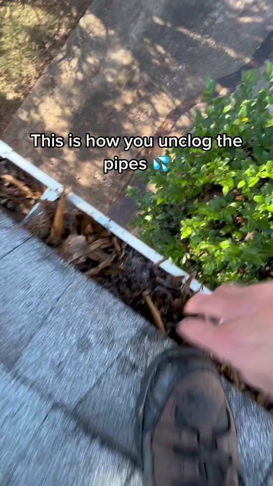 TikTok video thumbnail by kochanzhi