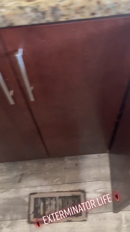 TikTok video thumbnail by shockey410