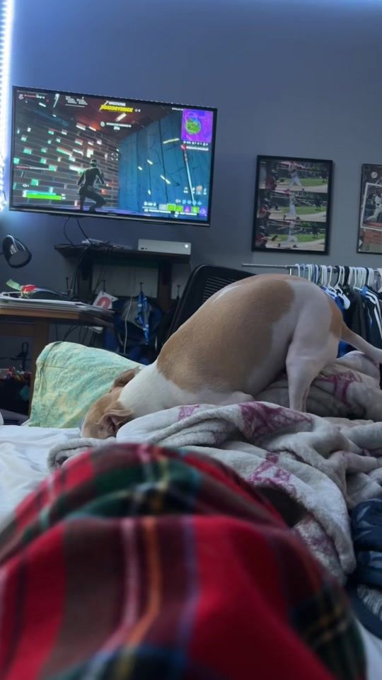 TikTok video thumbnail by chocotaco1377