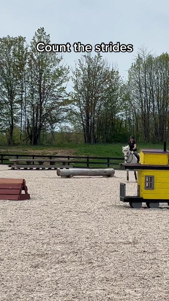 TikTok video thumbnail by eventing.dreamer