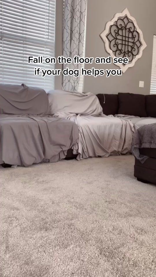 TikTok video thumbnail by apupnamedtoby