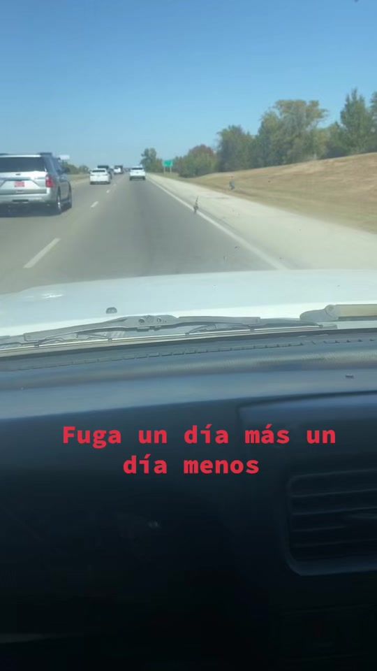 TikTok video thumbnail by luiscastro917