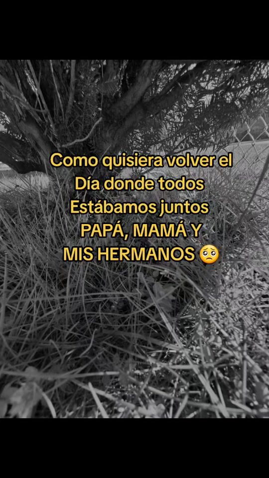 TikTok video thumbnail by frases_s_502