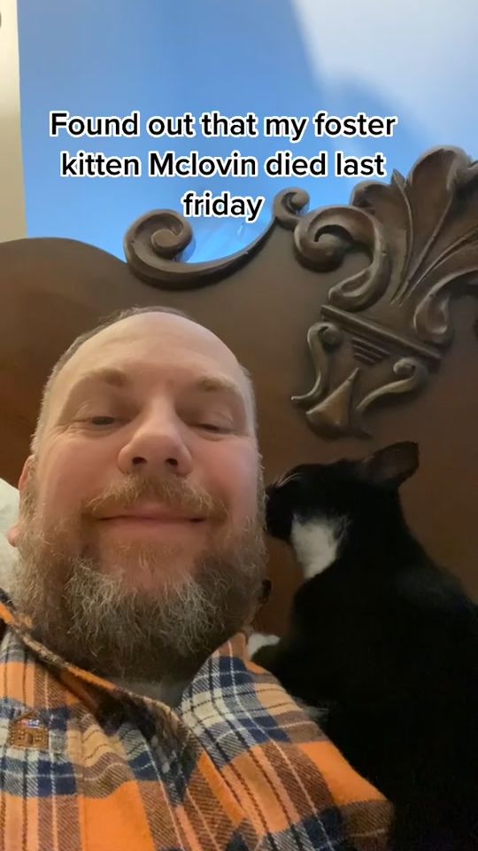TikTok video thumbnail by crazycatguyy