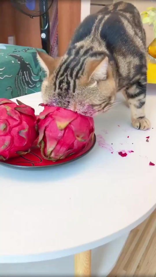 TikTok video thumbnail by leonanc