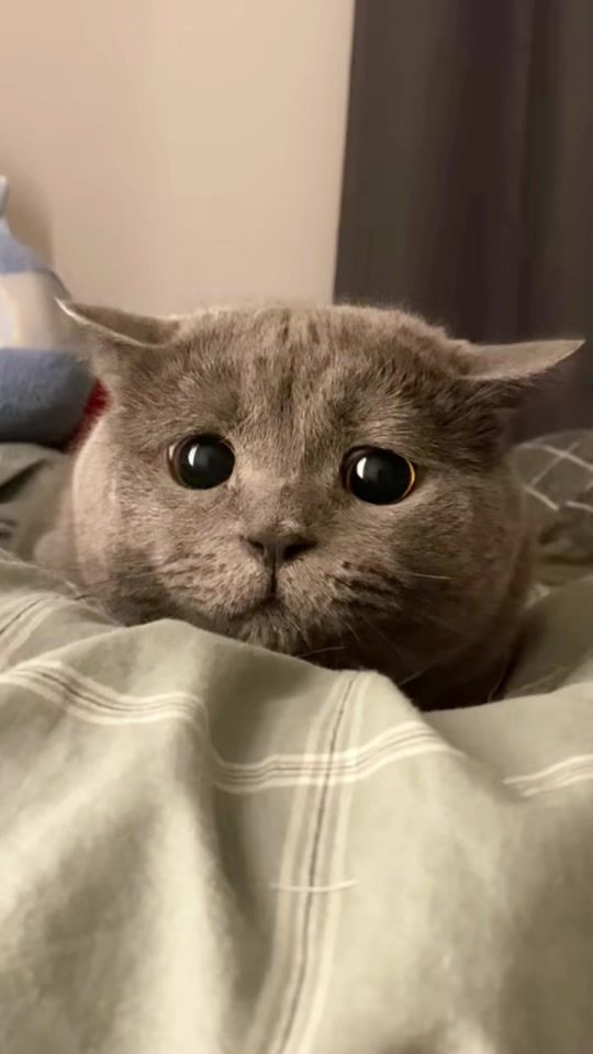 TikTok video thumbnail by ideatimes