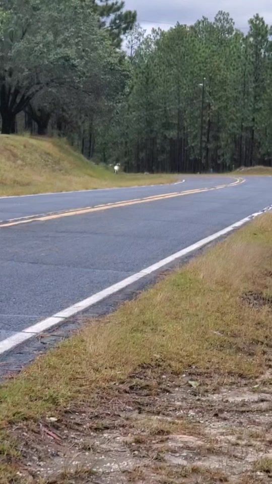 TikTok video thumbnail by truckerballou
