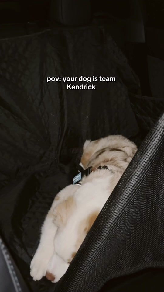 TikTok video thumbnail by ourtravelera