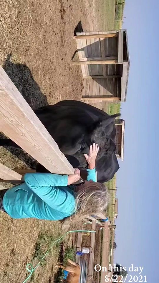 TikTok video thumbnail by johno14171