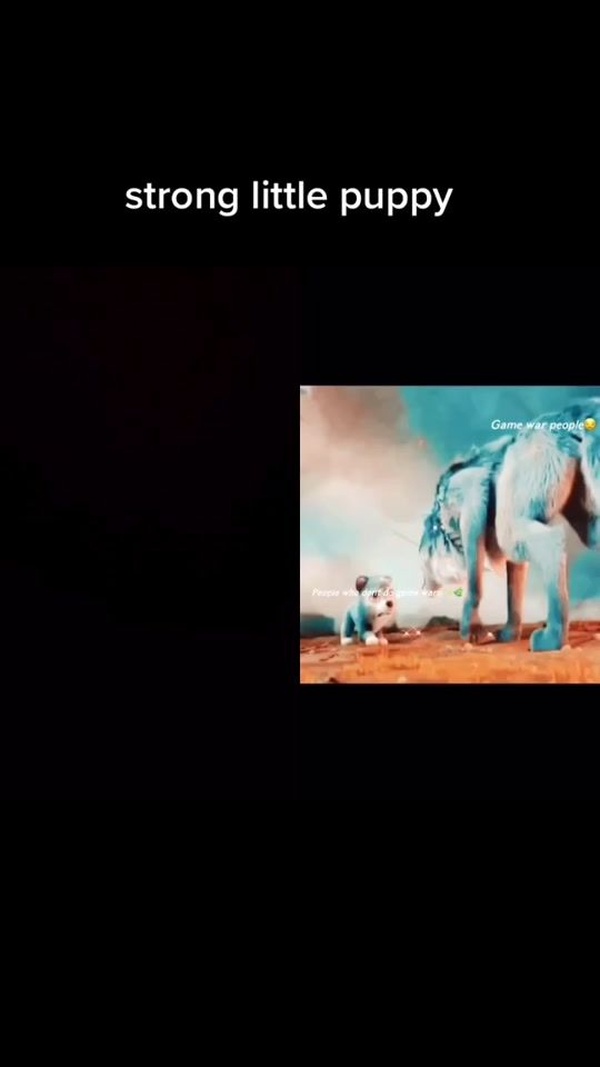 TikTok video thumbnail by miguelh199