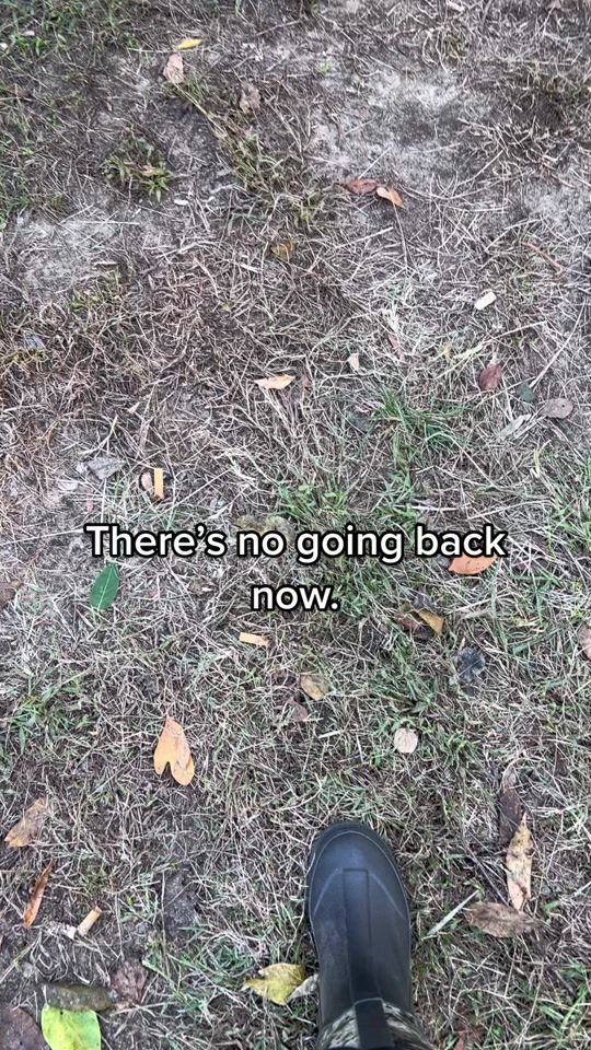 TikTok video thumbnail by malinois.crazy