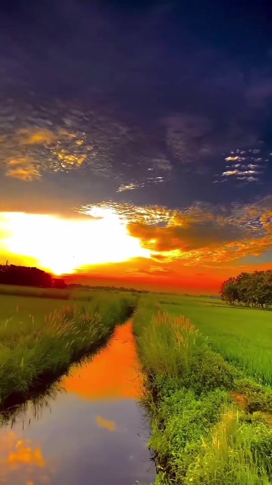 TikTok video thumbnail by nobody1234567890ab