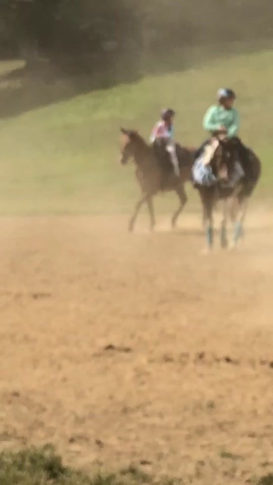TikTok video thumbnail by marlena.james
