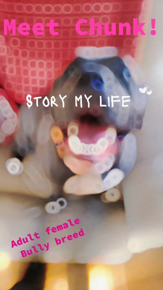 TikTok video thumbnail by madambuckley