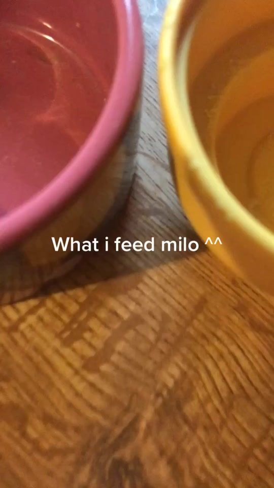 TikTok video thumbnail by three_ratateers