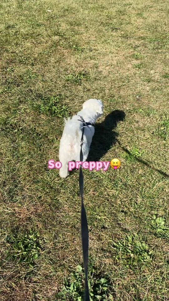 TikTok video thumbnail by preppy_besties_life0