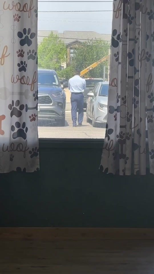 TikTok video thumbnail by haleyupson