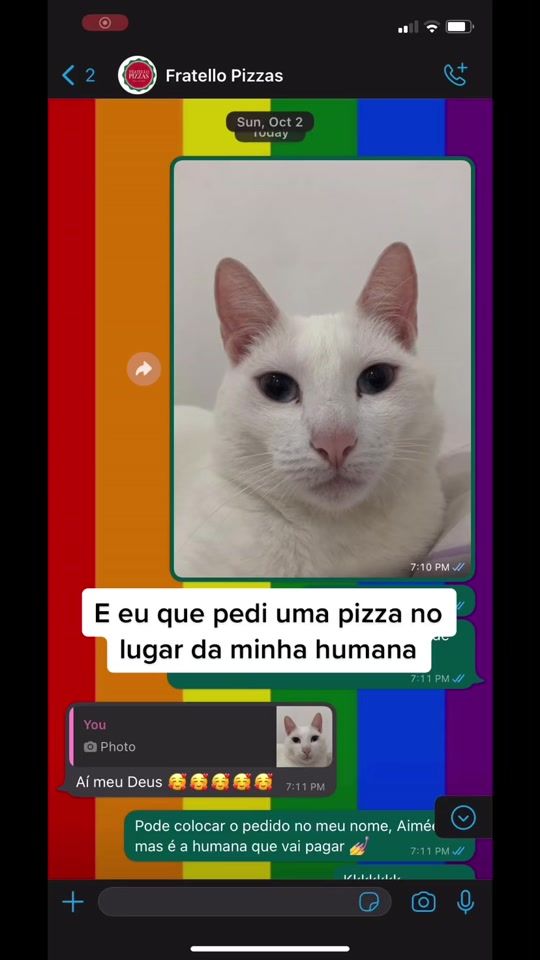 TikTok video thumbnail by aimeethekitten