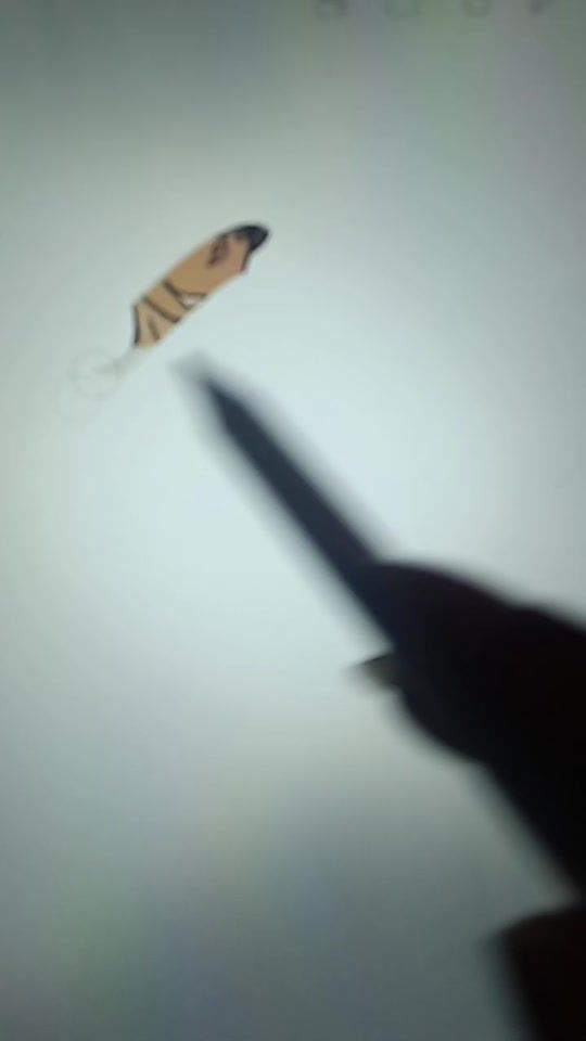 TikTok video thumbnail by digitalpupp_