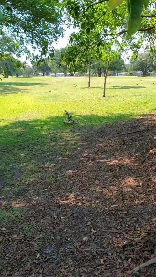 TikTok video thumbnail by hotpennies