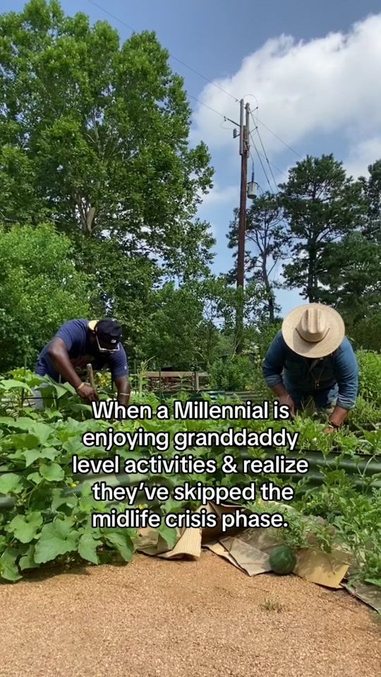 TikTok video thumbnail by gardeningwithbmo