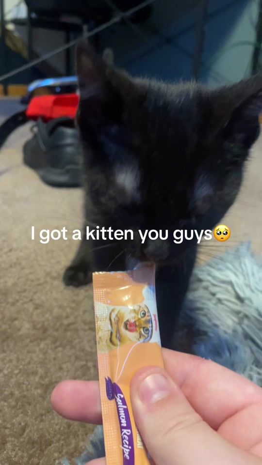 TikTok video thumbnail by turntone