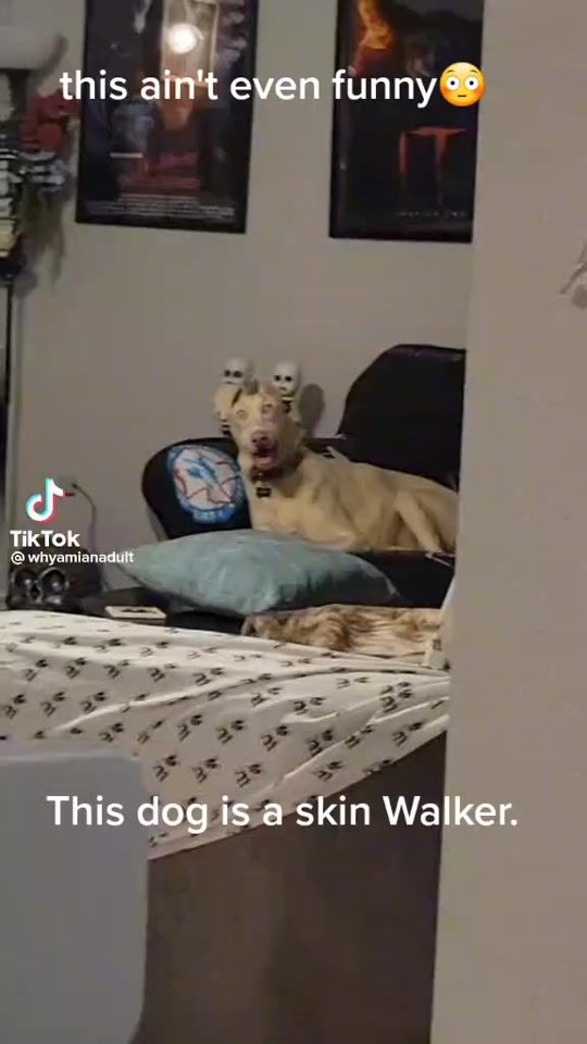 TikTok video thumbnail by annabella50023