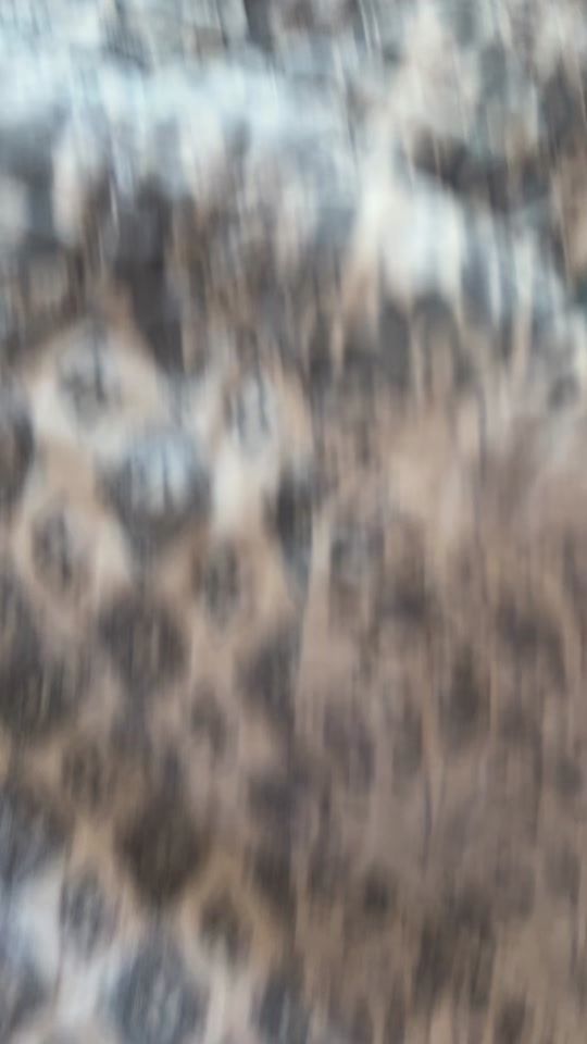 TikTok video thumbnail by loveforkittys