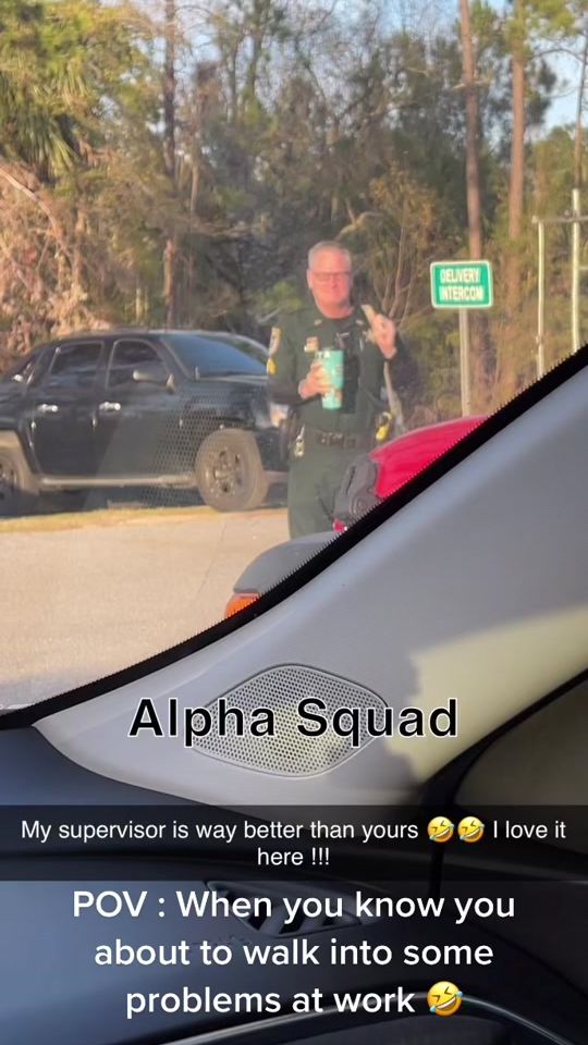 TikTok video thumbnail by blightfoot6