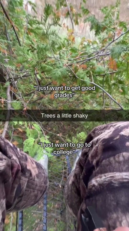 TikTok video thumbnail by thatyellowltr450