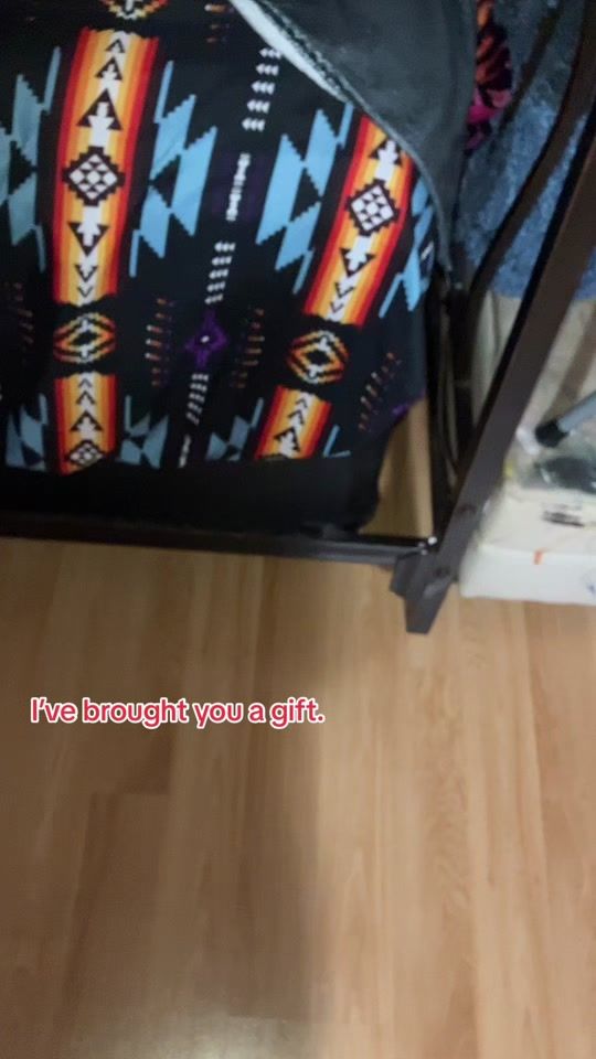 TikTok video thumbnail by born.confused.in.08