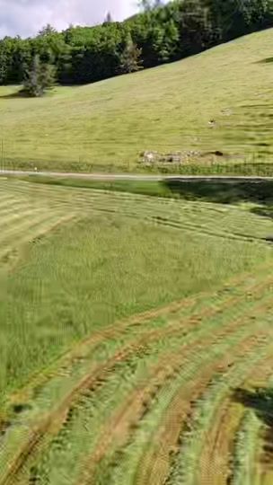 TikTok video thumbnail by joey_farm1