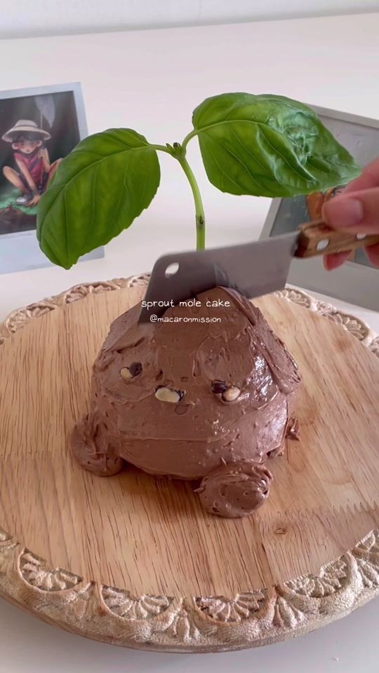 TikTok video thumbnail by macaronmission