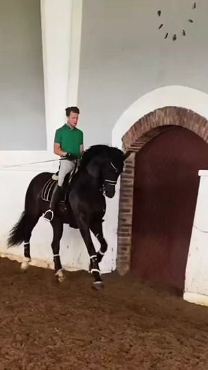 TikTok video thumbnail by equestrian665