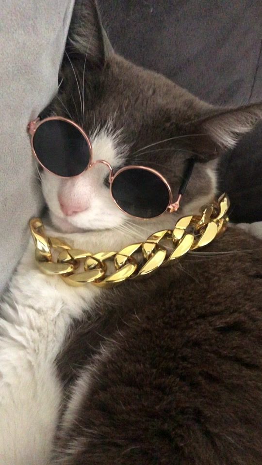 TikTok video thumbnail by mireyasotoramirez