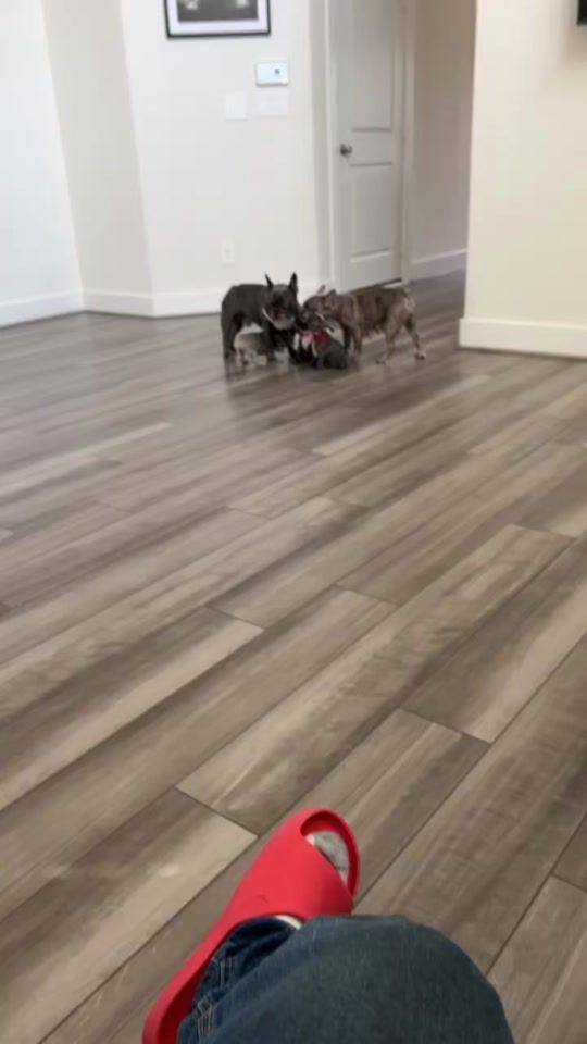 TikTok video thumbnail by tthetruck