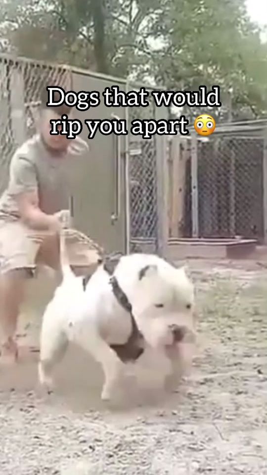 TikTok video thumbnail by sparkmachhi