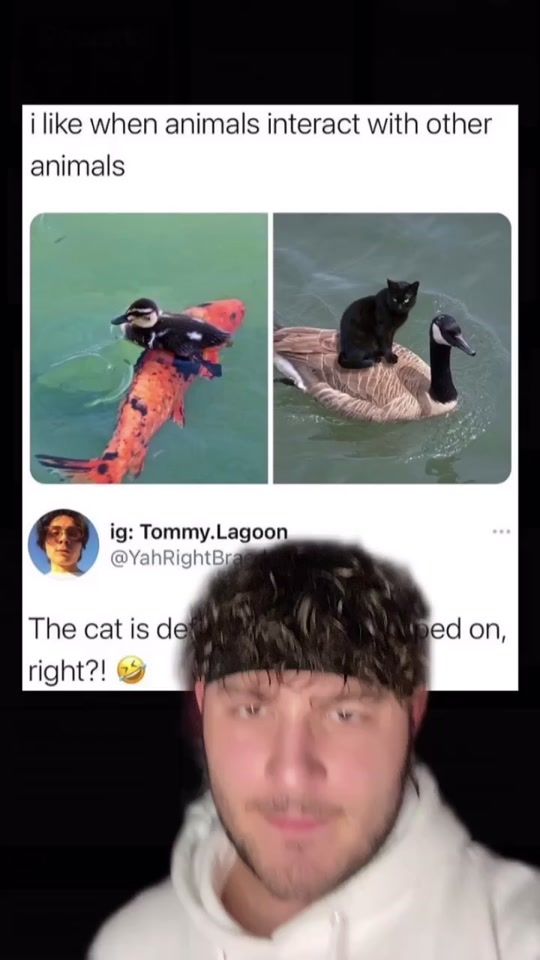 TikTok video thumbnail by goodvibesvinny