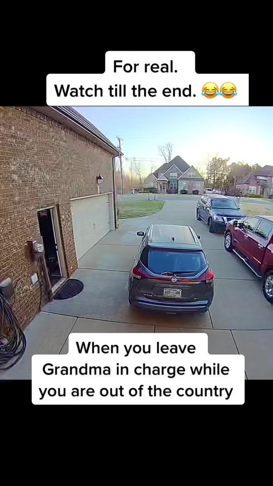 TikTok video thumbnail by sarahoftheseastravel