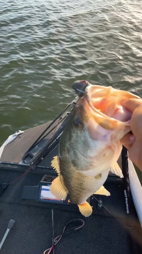 TikTok video thumbnail by michaelteate1