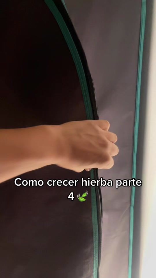 TikTok video thumbnail by jefeprints