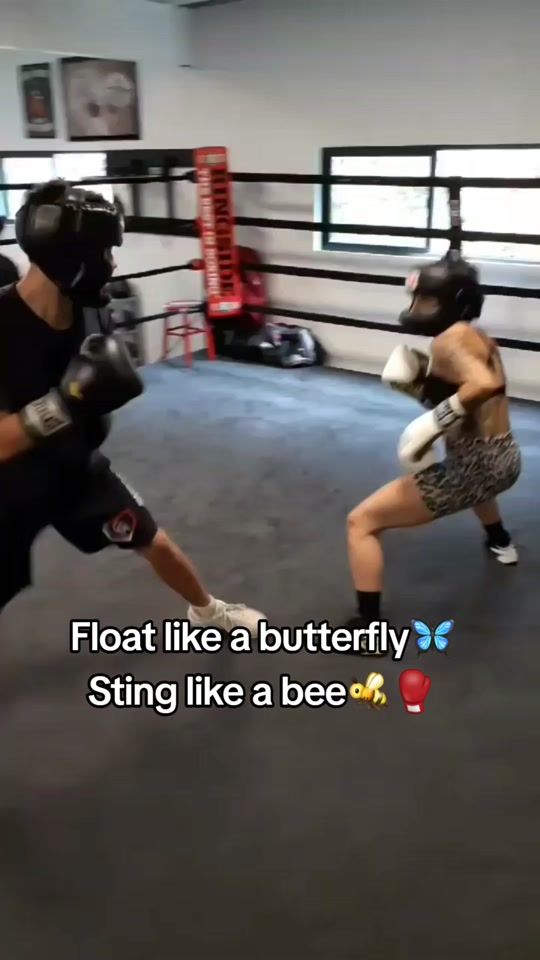 TikTok video thumbnail by dadtheboxer