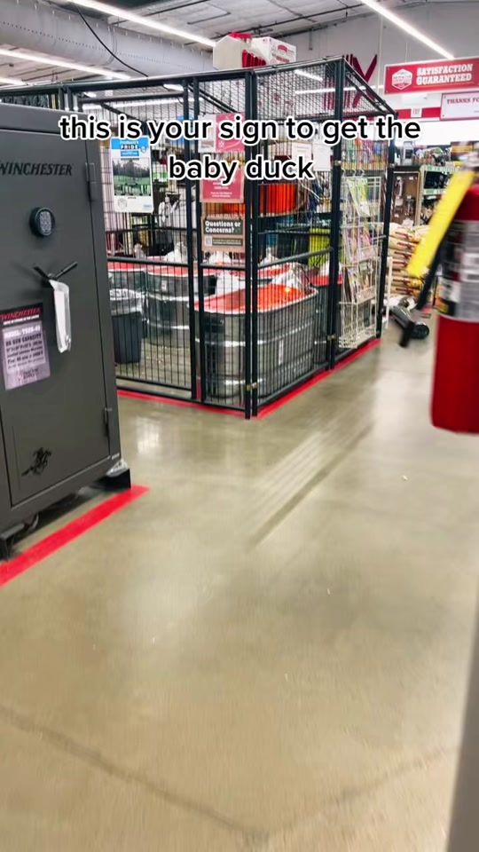 TikTok video thumbnail by makennaaa___