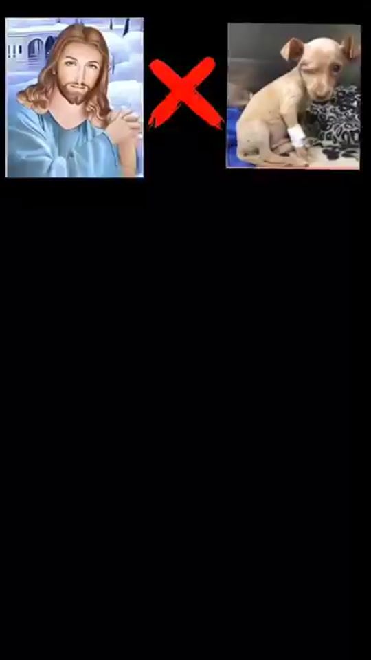TikTok video thumbnail by diosrd