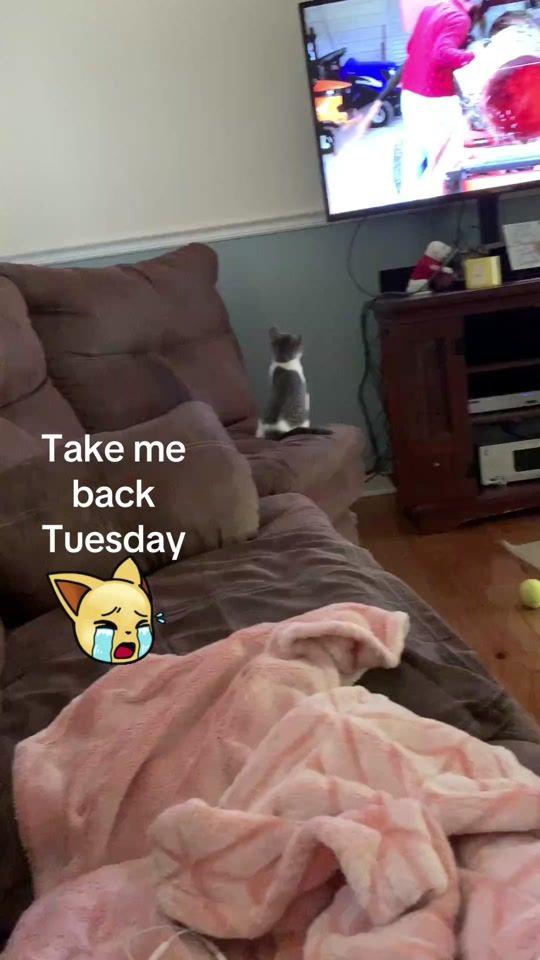 TikTok video thumbnail by hotmamma987