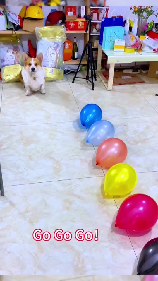 TikTok video thumbnail by bell888666