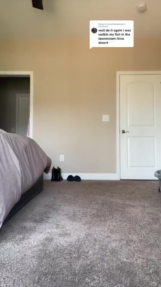 TikTok video thumbnail by kaylavarble
