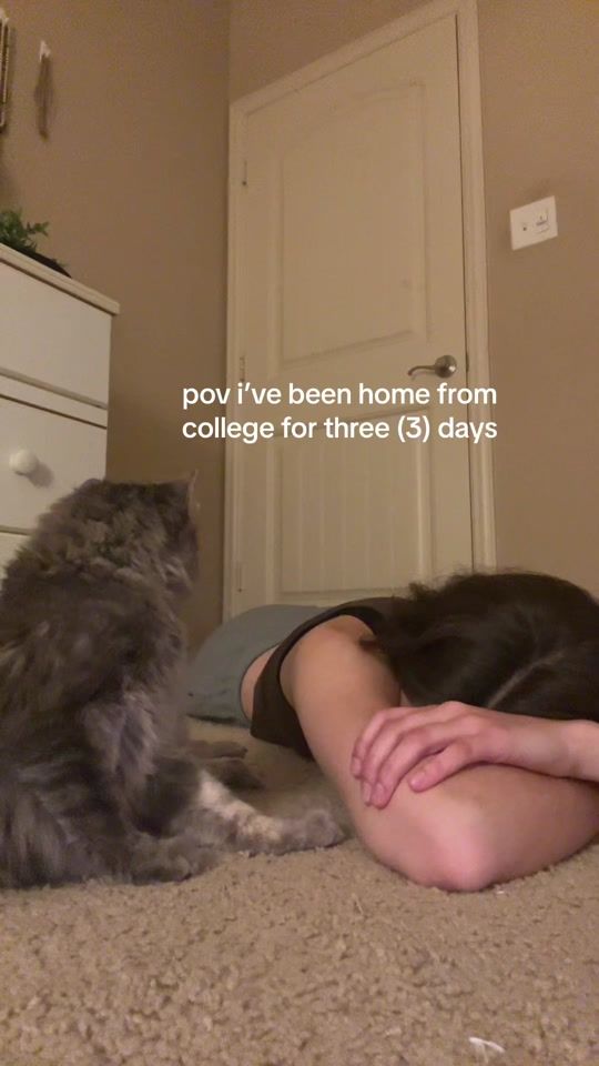 TikTok video thumbnail by ndanielle07
